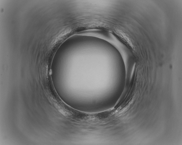 X0000090490589200707131329