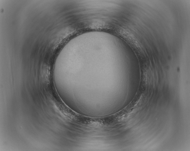 X0000090490592200707131329