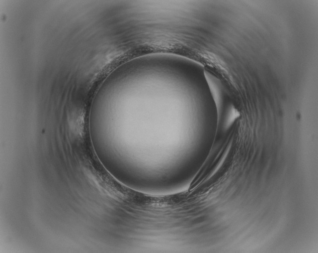X0000090490596200707131329
