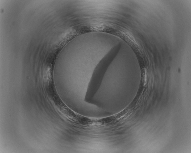 X0000090490598200707131329
