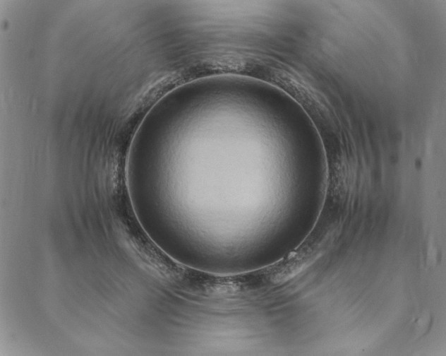 X0000090490600200707131329