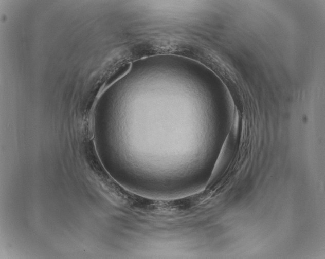 X0000090490601200707131329