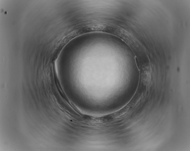 X0000090490604200707131329
