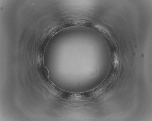 X0000090490607200707131329