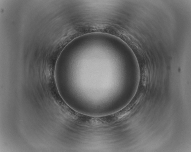 X0000090490608200707131329