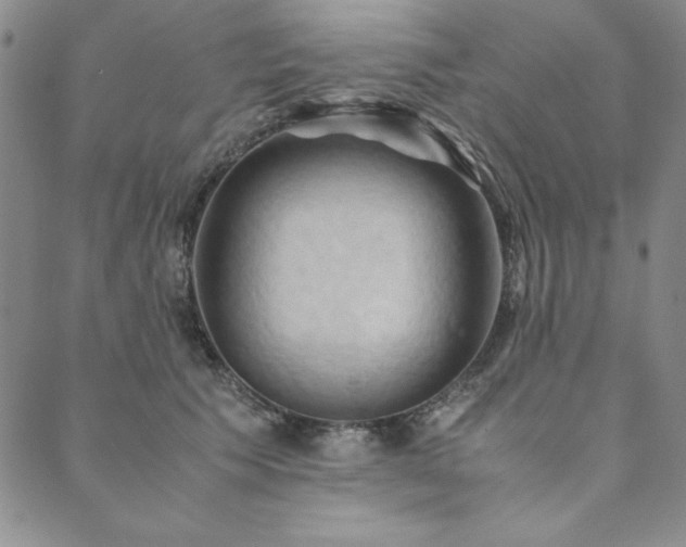 X0000090490609200707131329