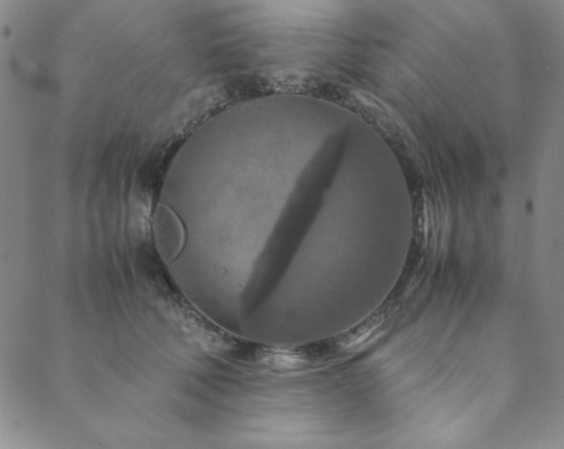 X0000090490610200707131329