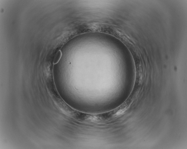 X0000090490611200707131329
