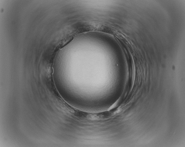X0000090490613200707131329