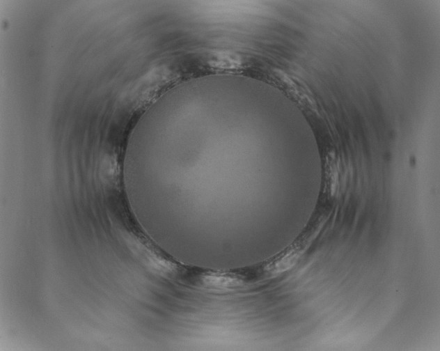 X0000090490614200707131329
