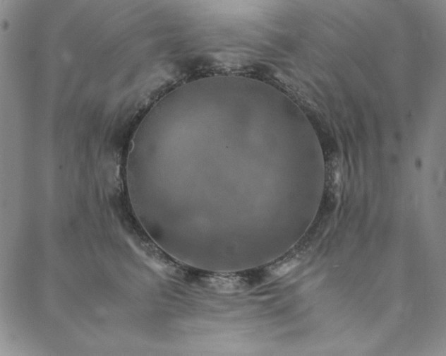 X0000090490615200707131329