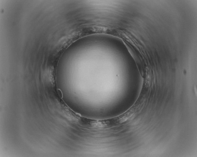 X0000090490616200707131329