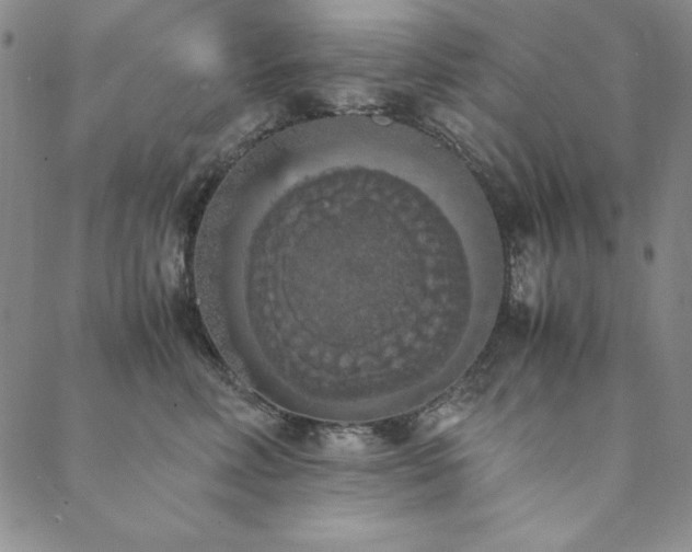 X0000090490618200707131329