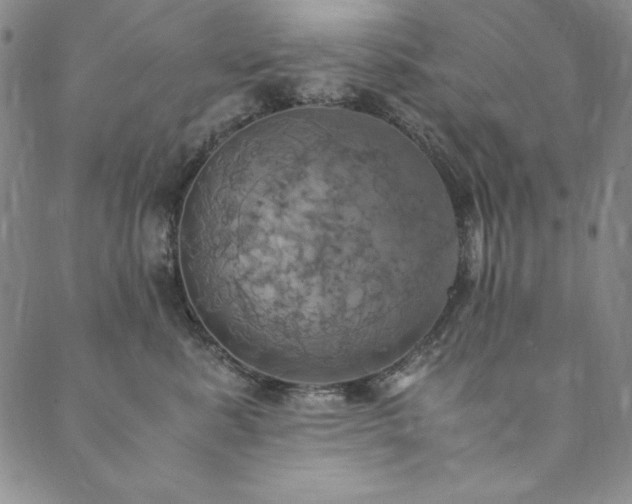 X0000090490619200707131329