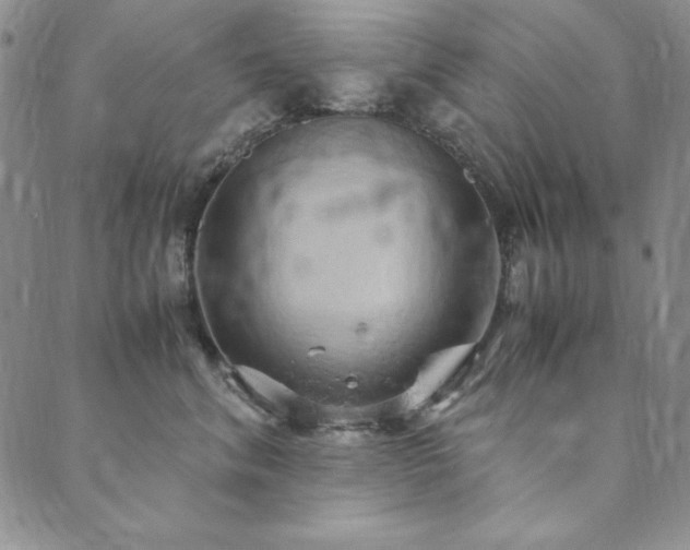 X0000090490620200707131329