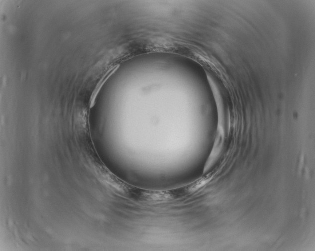 X0000090490621200707131329