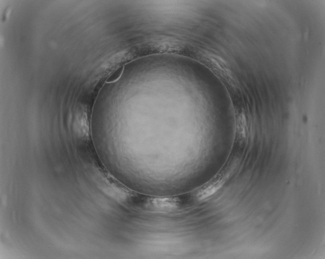 X0000090490622200707131329