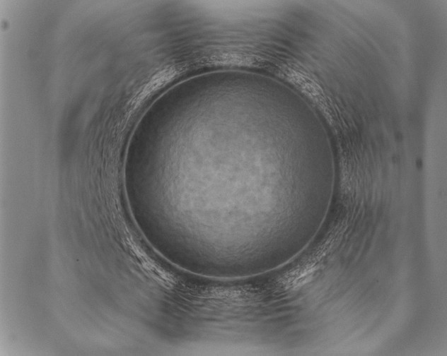 X0000090490625200707131328