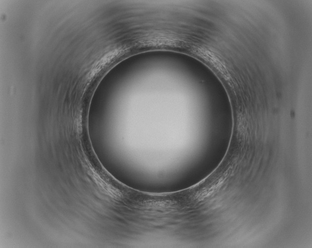X0000090490629200707131328