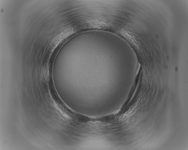 X0000090490630200707131328