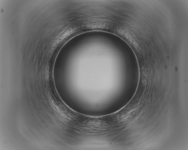 X0000090490631200707131328
