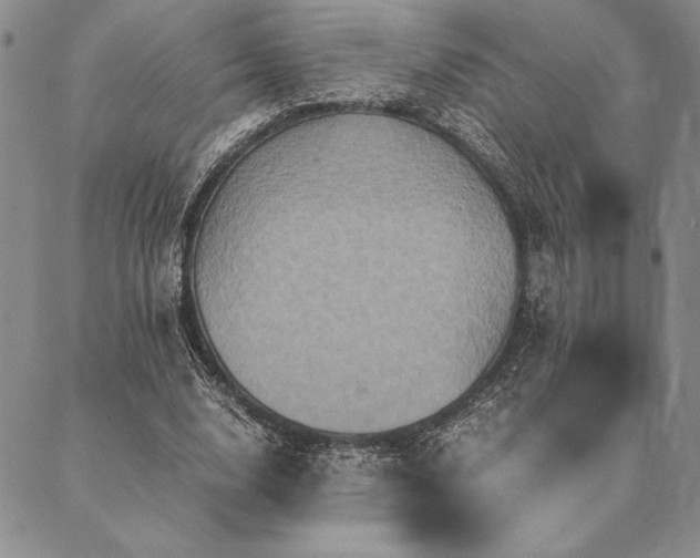 X0000090490632200707131328