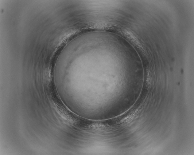 X0000090490636200707131328