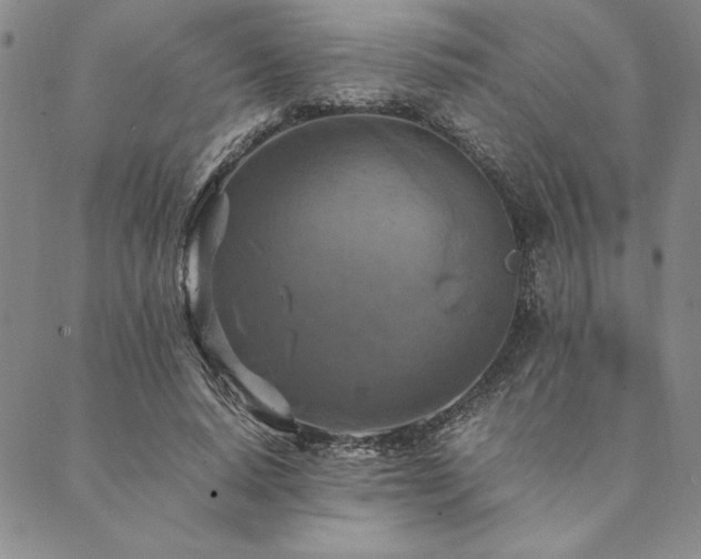 X0000090490640200707131328