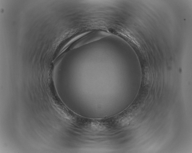 X0000090490641200707131328