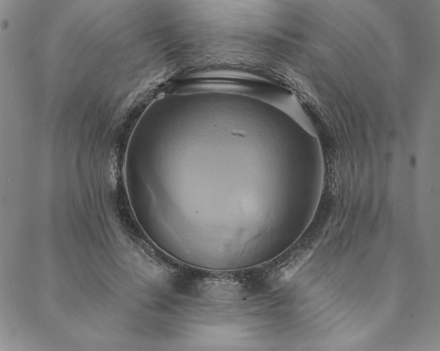 X0000090490644200707131328