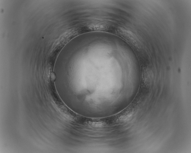 X0000090490645200707131328
