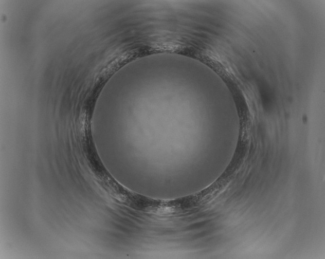 X0000090490647200707131328