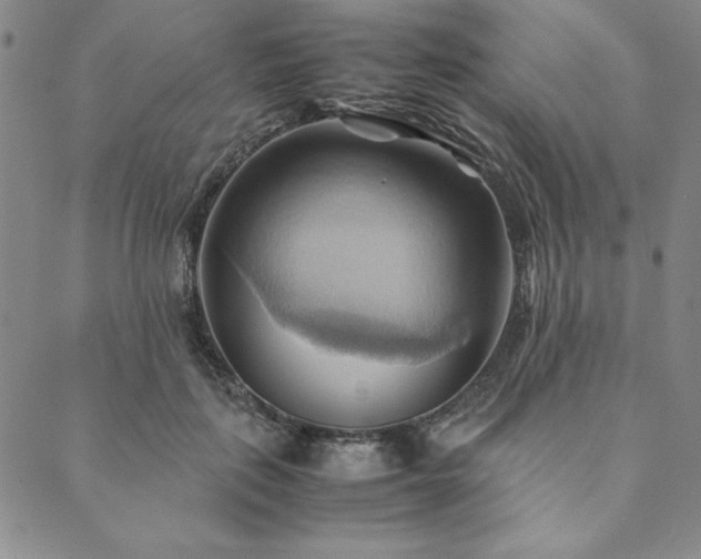X0000090490651200707131328