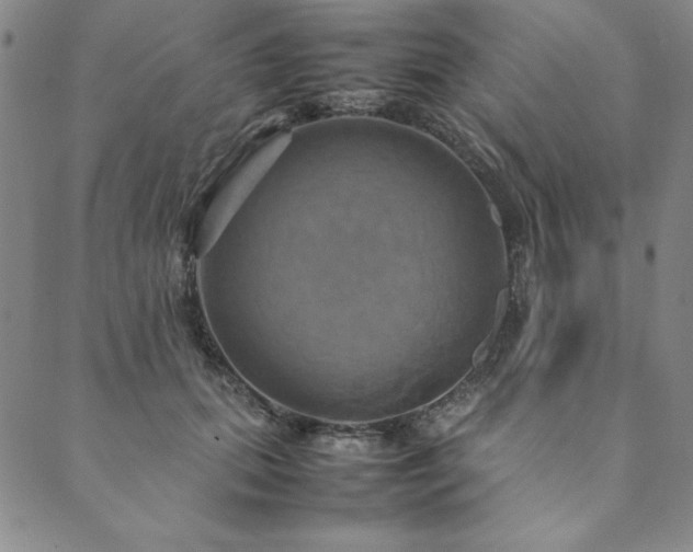 X0000090490655200707131328