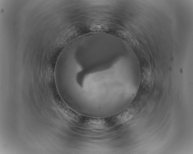 X0000090490659200707131328