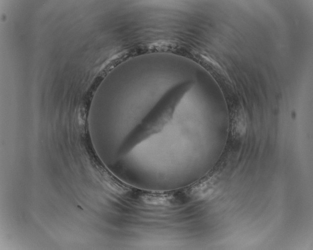 X0000090490661200707131328