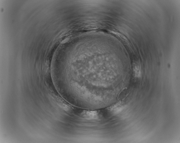 X0000090490665200707131328