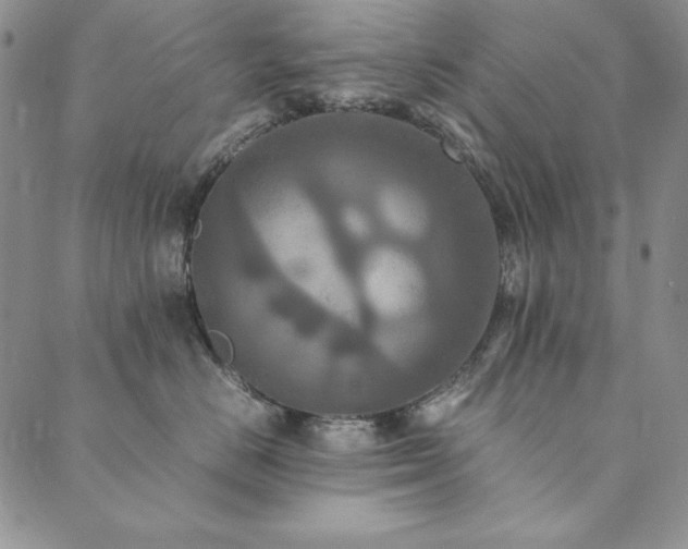 X0000090490670200707131329