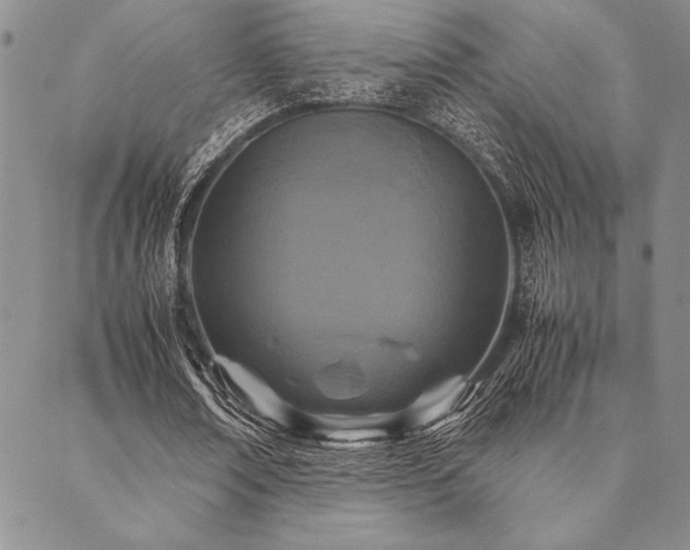 X0000090490674200707131328
