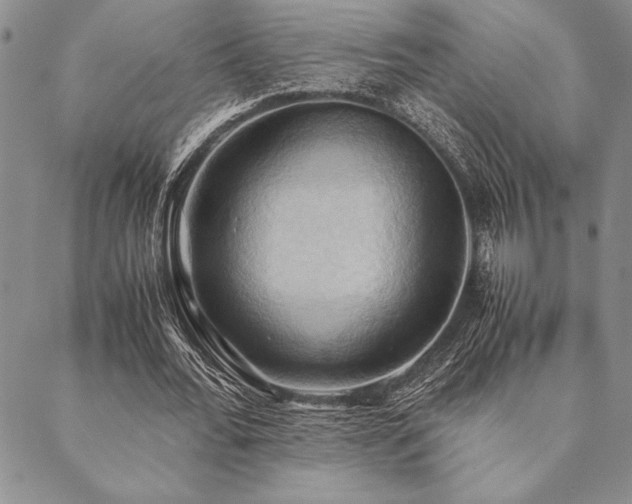 X0000090490676200707131328