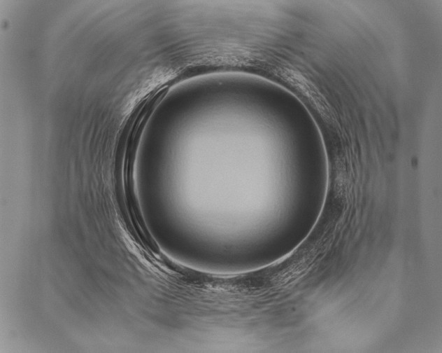 X0000090490677200707131328