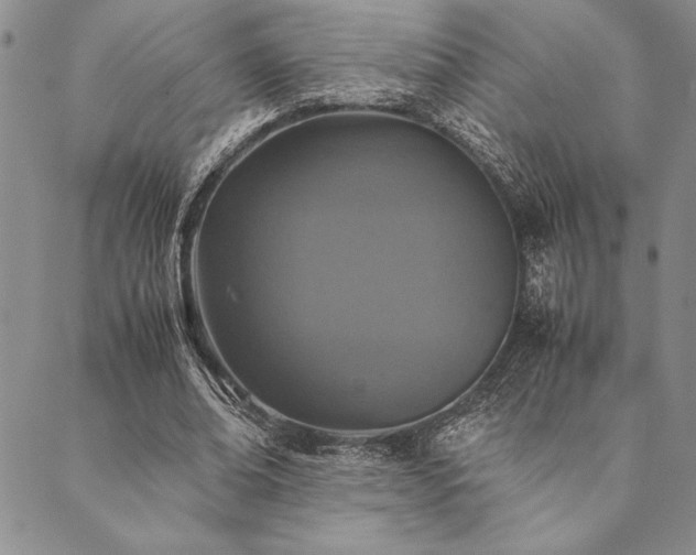 X0000090490678200707131328