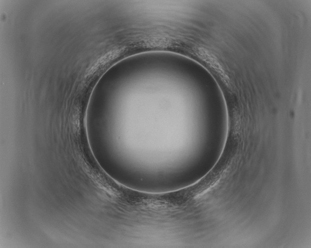 X0000090490681200707131328