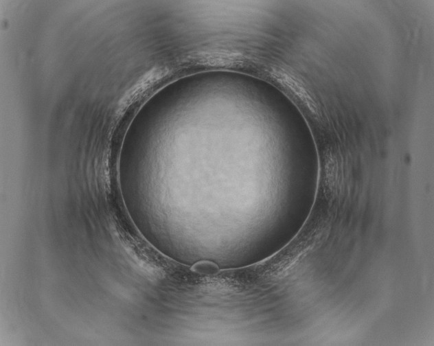 X0000090490682200707131328