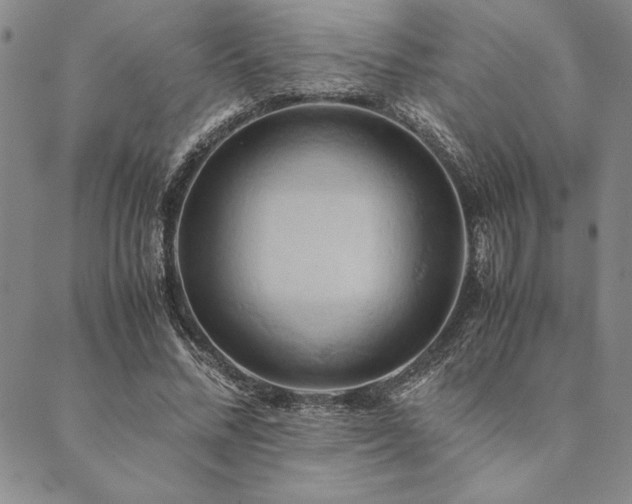 X0000090490684200707131328