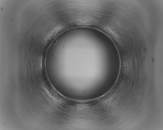 X0000090490686200707131328