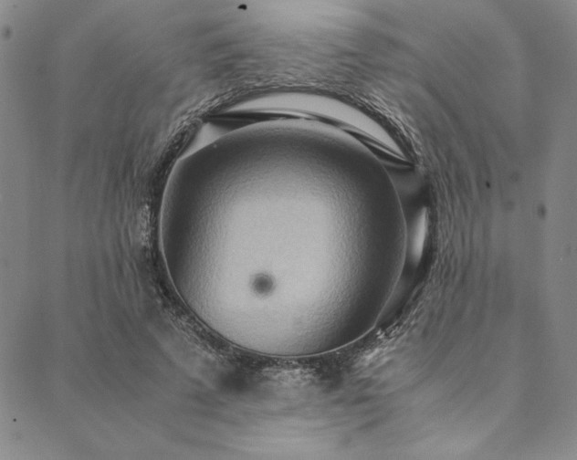 X0000090490689200707131328