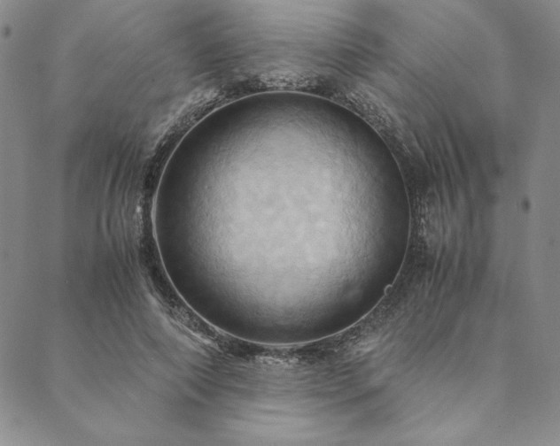 X0000090490690200707131328
