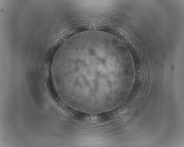 X0000090490695200707131327