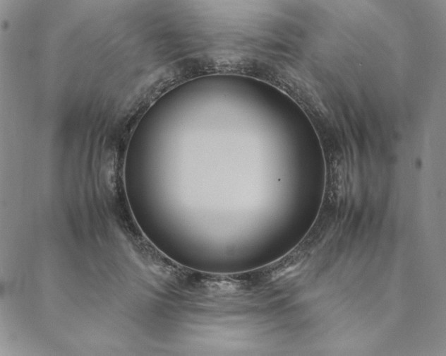 X0000090490698200707131327